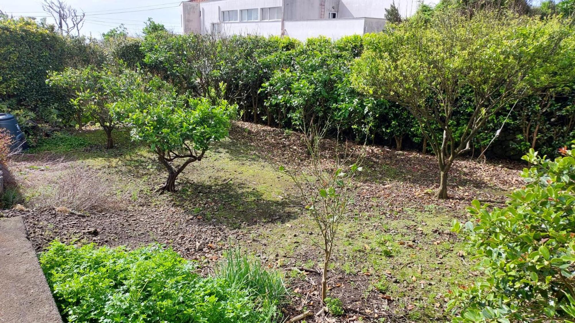Retiro Das Camelias 1 Lajes das Flores Exterior foto